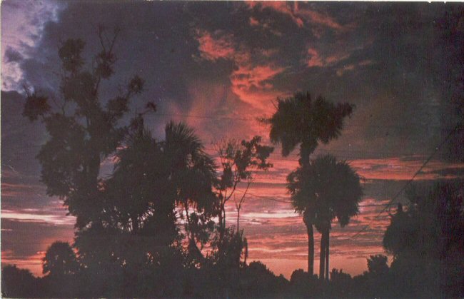 Shirley's Postal Cards