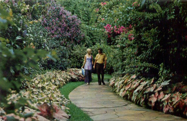 Shirley's Postal Cards