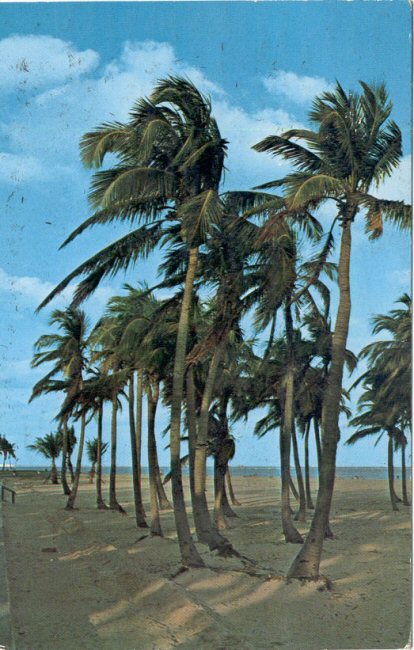 Shirley's Postal Cards