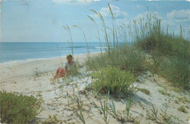 Shirley's Postal Cards