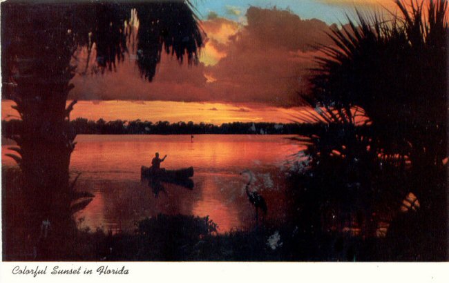 Shirley's Postal Cards