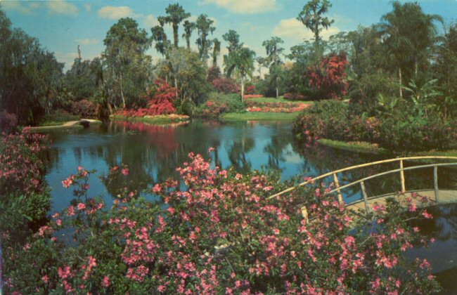 Shirley's Postal Cards